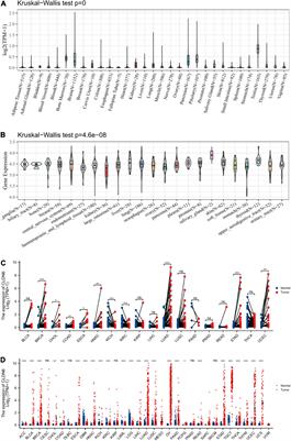 Frontiers | Identification Of Claudin-6 As A Molecular Biomarker In Pan ...